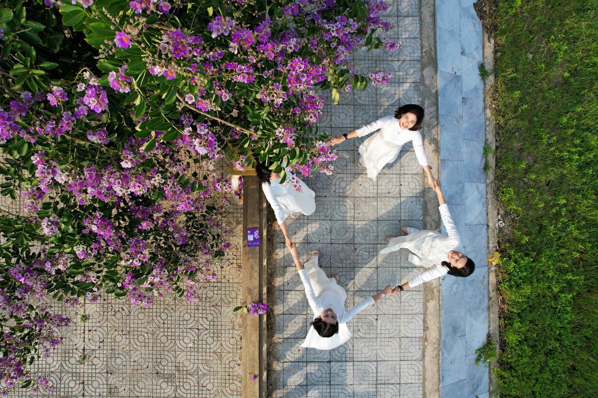 Vẻ đẹp tinh khôi và lãng mạn của cành hoa bằng lăng len tím mộng mơ tự tay làm tại nhà