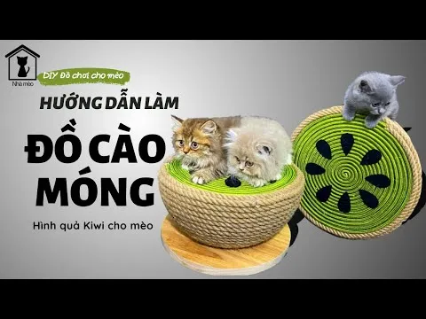 hqdefault-26 Mèo cưng vô cùng thích thú với các loại đồ chơi cào móng tự làm từ chất liệu len và thừng