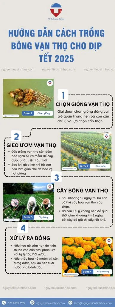 Kỹ thuật phủ sáp đòi hỏi sự tỉ mỉ để tạo độ bền cho hoa
