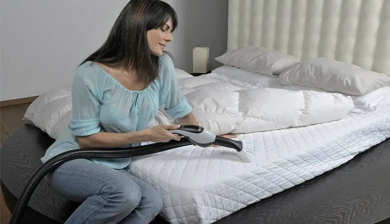 Vệ sinh đệm định kỳ giúp ngăn ngừa vi khuẩn và giữ cho không gian sống của thú cưng luôn thơm tho