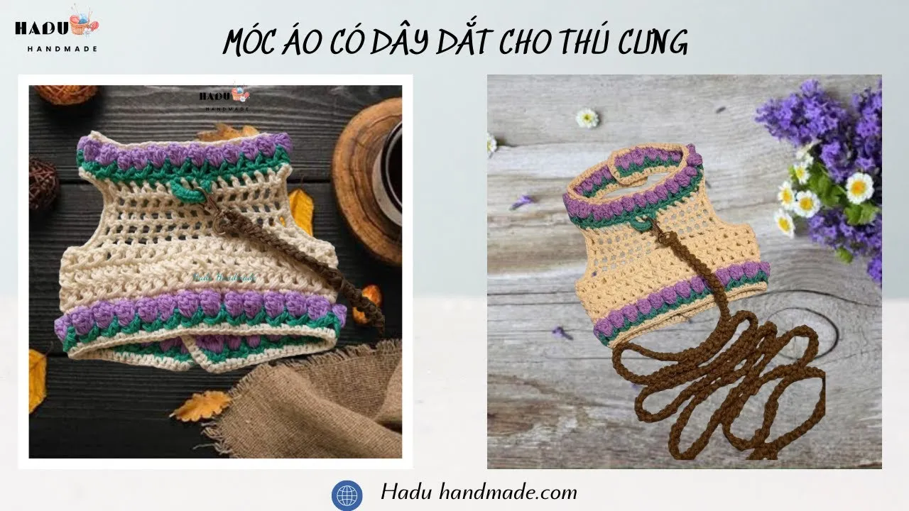 maxresdefault-174 Kỹ thuật móc Raglan giúp tạo form áo ôm vừa vặn với cơ thể thú cưng