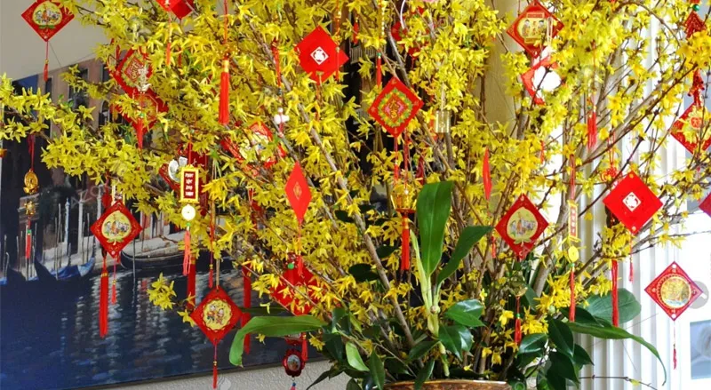 trang-tri-bao-xi-li-treo-cay-mai-3 Bao lì xì len có thể dùng làm vật trang trí cây mai cây đào vô cùng sinh động
